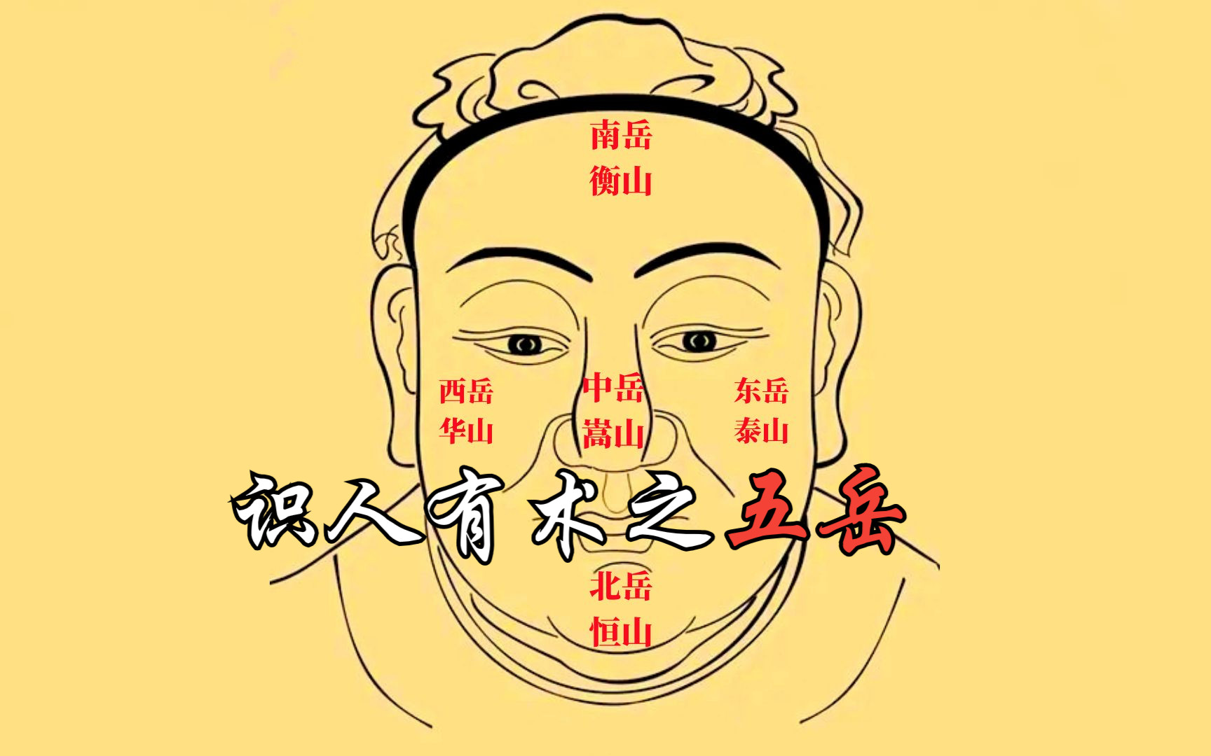 资料分享直播 义德天成面相识人术8集