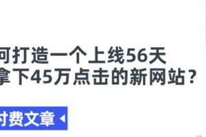 某付费文章：如何打造一个上线56天就拿下45万点击的新网站