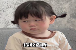 快手表情包项目还能这样玩，操作超简单，