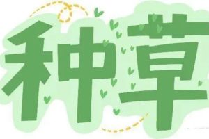 小红书打造高效种草与私域引流策略