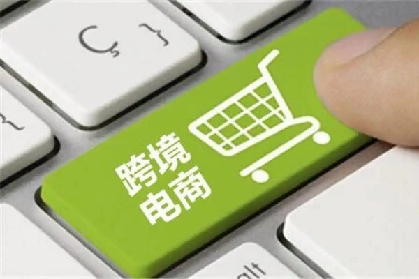 2024年跨境电商利基选品案例