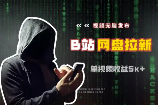 视频无脑发布B站做网盘拉新单视频最高收益5k+