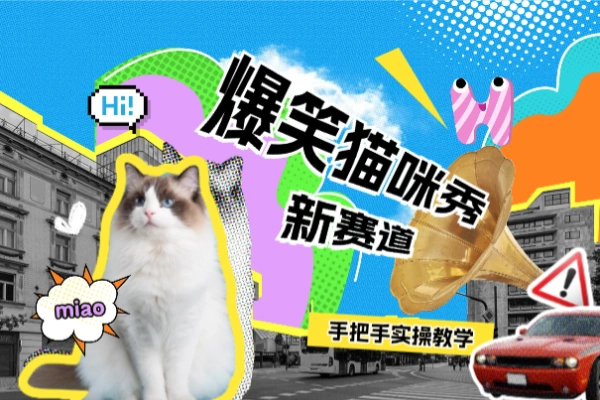 爆笑猫咪视频:自媒体搞钱新赛道